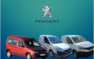 PARTNER