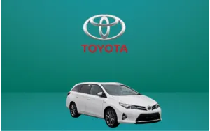 Αντιανεμικά καπό AURIS