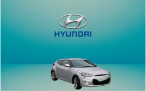 Αντιανεμικά καπό VELOSTER