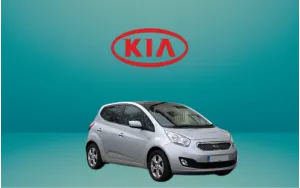 Αντιανεμικά καπό VENGA