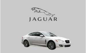 XF