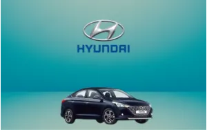 Αντιανεμικά καπό VERNA